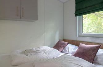 Iguana - Das Tiny Haus am Reptilienzoo Reptilium - Foto 19