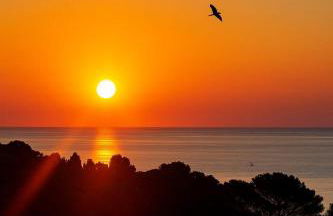 Atico con Piscina en Ametlla de Mar - Foto 33