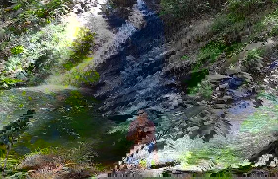 Mimosa Village - Foto 43