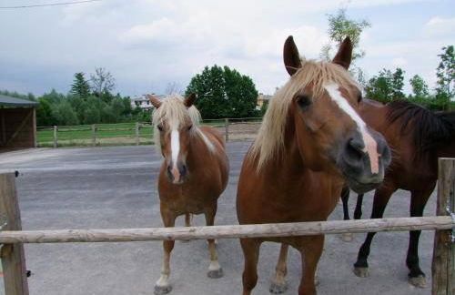 Agriturismo L'Acero Rosso - Foto 80