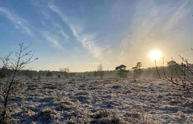 Home in the Dancing Forest - Foto 36