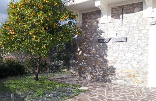 Alloggio Ulivo - Foto 1