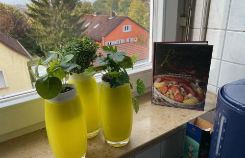 Sonnige Wohnung im Herzen von Marbach - Foto 28