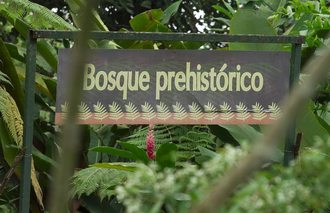 Villas Josipek - Foto 79