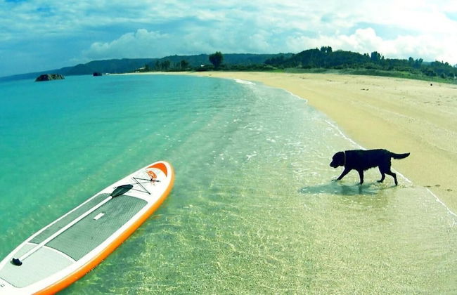 Okinawan. Sweet Home.T-8 - Foto 34