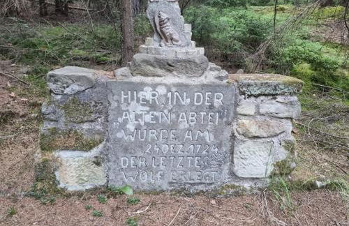 Wunderschöne Ferienwohnung in Thüringen - Foto 31