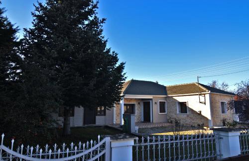 Signora Despina's - Foto 28