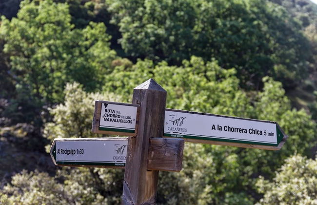 Finca Encinar de las Flores - Photo 31