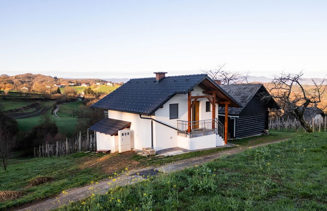 Vineyard cottage Majolka - Photo 14