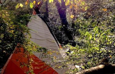 Mellow Mountain Eco Retreat Wales Hot-Tub Sauna - Foto 8