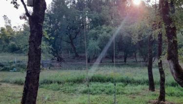 Quinta da Bolota Guest House - Photo 5