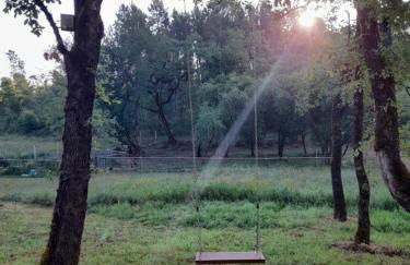 Quinta da Bolota Guest House - Foto 5