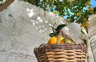 Tap Apartments - in Independent House with Private Garden - Photo 35