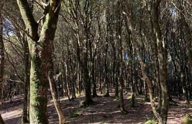 Ale house experience - Foto 25