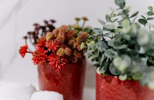 Portugal countryside retreat for remote workers and digital nomads - Foto 49