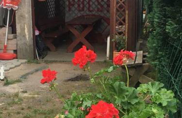 Apartament Pod Kasztanami - BIAŁY - Foto 21