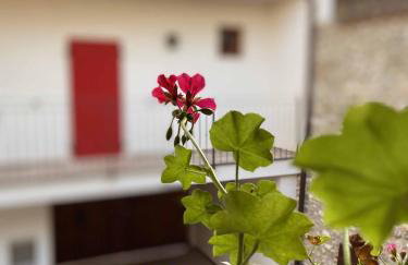 La Volpe Rossa Rooms and Apartments - Photo 9