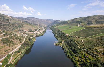 Quinta da Coitada - Alojamento Local - Foto 5