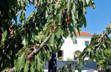 Villa Renata - Foto 58