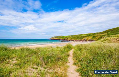 The Stables And Bullpen - Photo 24