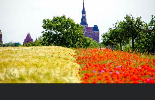 Gnaden- und Ferienhof Saale Wittgenstein in the middle of gar nix - Foto 71