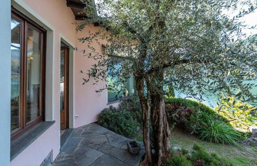 Il Tentione - Foto 76