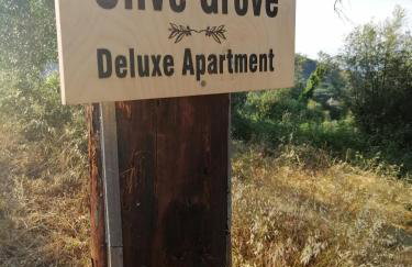 Olive Grove Deluxe apartment - Foto 38