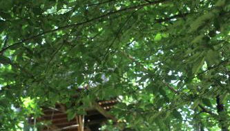 Ô bois dormant - Foto 3