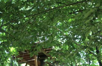 Ô bois dormant - Foto 3