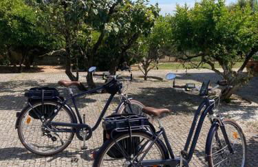 Portoo Blue Apartments - Douro - Foto 15