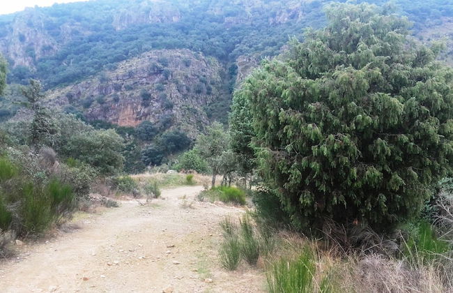 Douro Camping - Foto 37