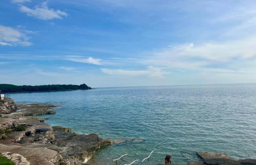 Mareda Sunset - Photo 14