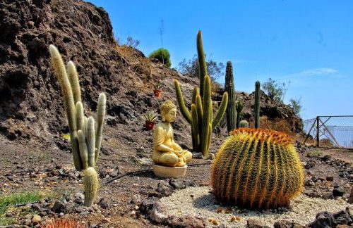 FINCA BEROLO 1 - Foto 44