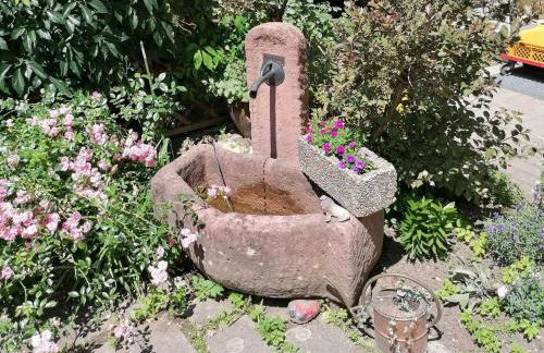 Jogis Ferienwohnungen - Foto 6