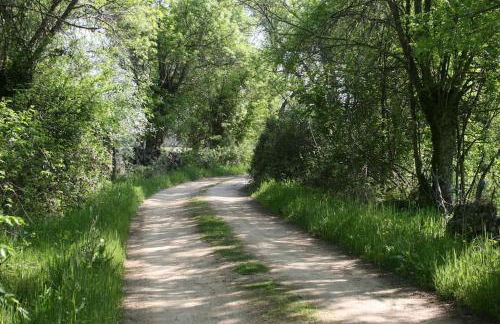 CASA RURAL LA FRESNEDA DE TENZUELA - Foto 21