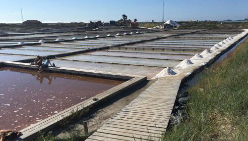 Praia de Mira - Foto 2