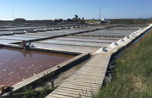 Praia de Mira - Foto 2