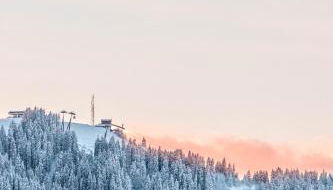 Chalet Mont d'Arbois Ski et Golf - Photo 3