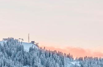 Chalet Mont d'Arbois Ski et Golf - Photo 3