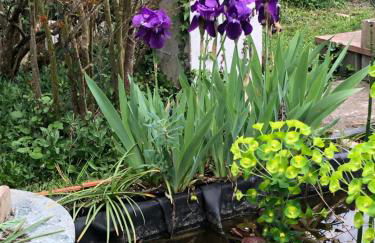 Condrieu et parking voiture vélo 2 ème étage - Foto 58