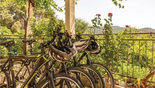 Awesome Home In Ploce With Jacuzzi - Foto 5, Garden