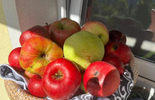 Green House kuća s 4 spavaće sobe - Foto 47