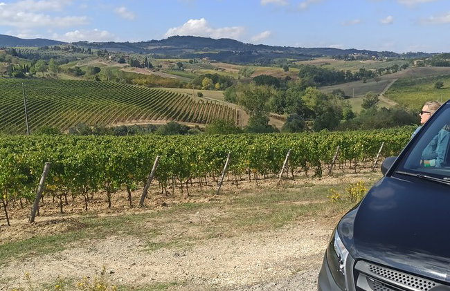 "Recorre las onduladas colinas de Chianti" con almuerzo y degustaciones de vino - Foto 18