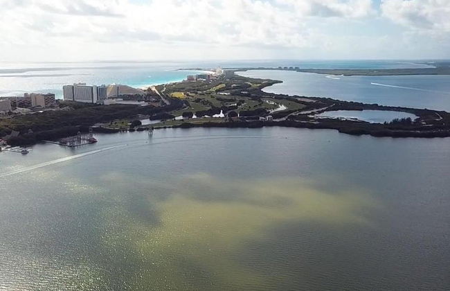 Das unerschrockenste Speedboat-Abenteuer in Cancun Schnorchel inklusive - Foto 9