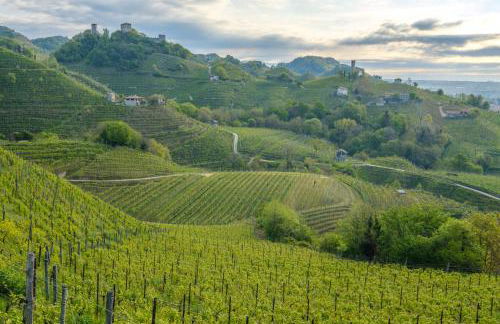 Le Vigne Panoramiche - Foto 13