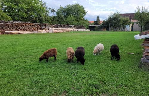 Ferienwohnung Wiesenhof - Foto 43