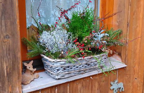 Haus Irina & Haus Anna - Foto 5