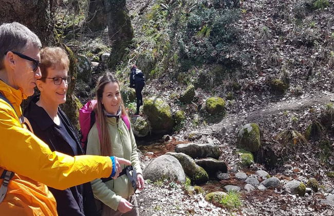 Escursioni a Meteora - Foto 3