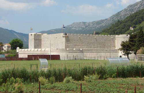 Iva Lavanda - Photo 24