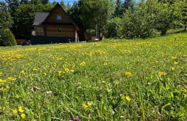 Chata Piechówka - gorąca balia i widok na góry - Foto 52